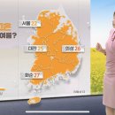 세일광고 이미지