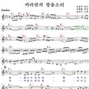 캬라반주