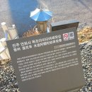 진주 연화사 목조 아미타여래좌상 이미지