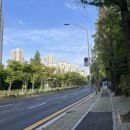 분당 현대시장 | 분당 재건축 샛별마을(라이프·동성·우방·삼부,현대빌라) 현황 & 임장 후기