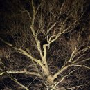 병마산성 | 야경이 아름다운 해미읍성