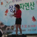 상촌면사무소 이미지