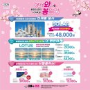 오늘봄안경 이미지