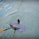 지정낚시터 이미지