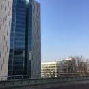 홍익대학교 이미지