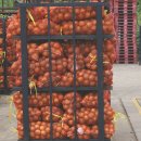 우명농장 이미지