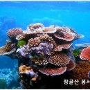 전도방법과 전도자의 자세 이미지