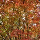 노고단-12 이미지