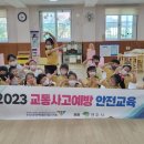 신영주유치원 이미지