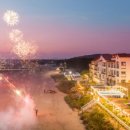 비비오네 이미지