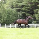 기원목장 이미지