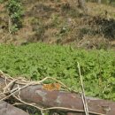 (주)부산나비 이미지