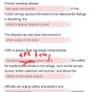 225_260517_Elk disease 이미지