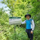 국립미천골자연휴양림 이미지