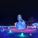 도시의 빛 | 겨울여행지 부산~!! 해운대 빛 축제 소개와 방문후기