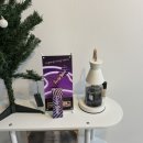 나홀로짐 서구탄방점 | 대전 속눈썹펌 솔브로우 대전탄방점 내돈내산 후기