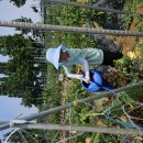 윤우농장 이미지