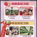 GS25 논산시민점 | 논산 딸기축제 2026 가수 체험 일정 충남 봄 축제 주변 가볼만한곳