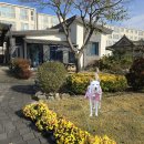 못 | 담양 대형견 진돗개 동반 에버비앤비 숙소 꽃못 방문 후기