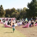 페스티벌 이미지