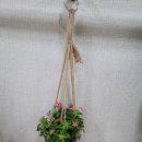 연일재활용센터 이미지