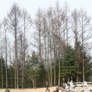 휘겔하임 이미지