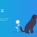 광주TNR동물병원(초월) | 26. 02. 06 유기동물 등록현황(공고 115마리, 보호중 14마리)