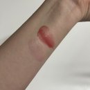 미엘약국 | 마이 PICK, 내 루틴과 함께하는 재구매 필수템들 모음 zip
