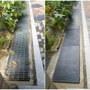 서울신원초등학교 이미지