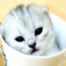 미즈아가행복작명연구원