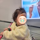 지중해건강랜드 | 코스트코 바움쿠헨 딸기 신상 캠핑 용품 소비기록