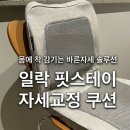 스테이클라우드 | [건강템 추천] 자세교정을 위한 바른자세 서포터, 일락 핏스테이 🪑 정보❗️(등 자세쿠션)