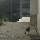 현호상회 네이버블로그