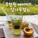 파이진다올에이전시 | 제주 카페, 우정원 베이커리 제주 삼나무점 솔직후기
