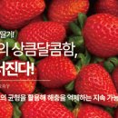 별줌마농장