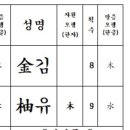 (유)효명