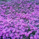 새광명행정사 이미지