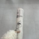 펜슬발라드