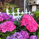 개양시외버스정류소 이미지