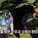 사남매농장 이미지