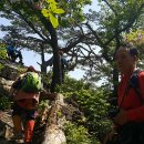 김삿갓면-16 Daum카페