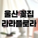 플로라 | 울산 동구 방어동 ‘ 라라 플로라 ’ 후기 [ 어버이날 꽃 준비 ]