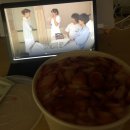 트리트멍멍 이미지