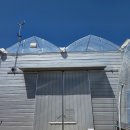 토경팜 | 귀농 장기교육 18일차 교육 일지 김제 대형 스마트팜 20억 시설 베테랑 농가 VS 1년 차 토마토 농가...