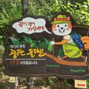 팔공산 둘레길 1구간 이미지