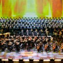 광주평화약국 이미지