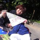 양진병설유치원 이미지