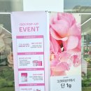 로즈가든 | 3월 성수 팝업스토어 아이소이 로즈오또 가든 팝업 후기