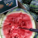 대산청과 이미지