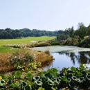 여주 골프 아카데미 | 내장객전원 할인금액으로 이용가능한 이천마이다스CC 4인무기명 선불카드회원권 법인으로 입회시켜...